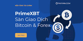 Exploring PrimeXBT Trade A Comprehensive Guide to Cryptocurrency Trading